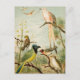 Nordamerikanische Vögel | Anton Goering Postkarte (Vorderseite)