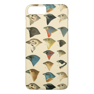 Nordamerikanische Vögel Case-Mate iPhone Hülle