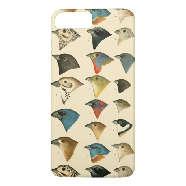 Nordamerikanische Vögel Case-Mate iPhone Hülle (Rückseite)