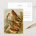 Nordamerikanische Vögel | Gustav Mü tzel Postcard Postkarte<br><div class="desc">Eine Illustration des deutschen Künstlers Gustav Mü tzel aus dem 1891 erschienenen Buch Nordamerikanische Vogelwelt (Die Welt der nordamerikanischen Vögel). Das Buch beschreibt jede der nordamerikanischen Vögel, auf die Heinrich Nehrling gestoßen war oder über die er gelesen hatte. Der Band wird von Prof. Robert Ridgway von der Smithsonian Institution and...</div>