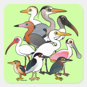 Nordamerikanische Waders Quadratischer Aufkleber