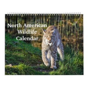 Nordamerikanische Wildfauna Kalender