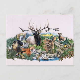 Nordamerikanische Wildfauna Postkarte