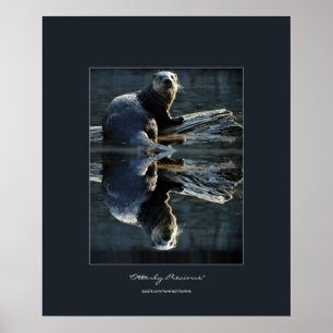 Nordamerikanischer Fluss Otter auf einem Log Wildl Poster