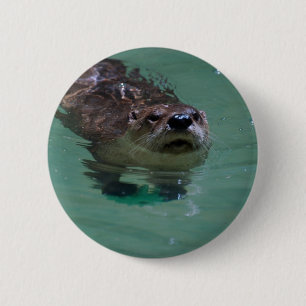 Nordamerikanischer Fluss-Otter Button