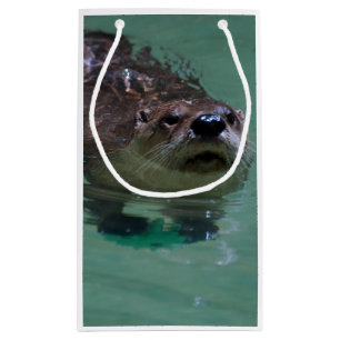 Nordamerikanischer Fluss-Otter Kleine Geschenktüte