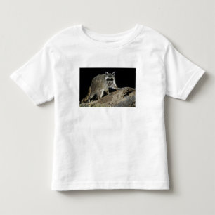 Nordamerikanischer Waschbär, Procyon lotor Kleinkind T-shirt