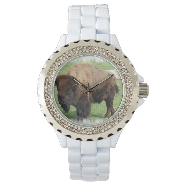 Nordamerikanisches Buffalo Armbanduhr (Vorderseite)