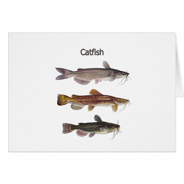 Nordamerikanisches Wels-Logo (Vorderseite (Horizontal))