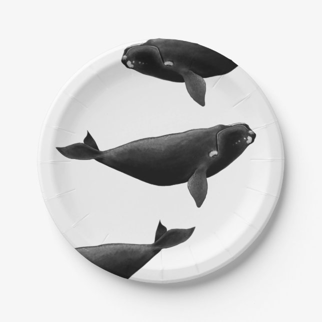 Nordatlantik Roter Wal Eubalaena glacialis Art Pappteller (Vorderseite)