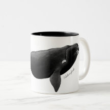 Nordatlantik Roter Wal Eubalaena glacialis Art