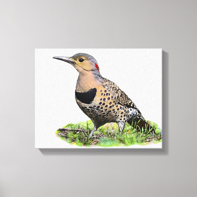 Nordflicker am Boden Leinwanddruck (Vorderseite)