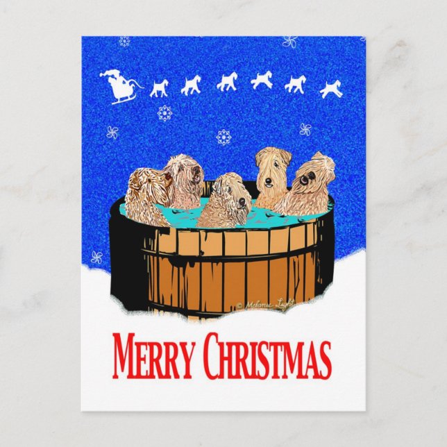 NORDfrohe WEIHNACHTEN KALIFORNIENS (Vorderseite)