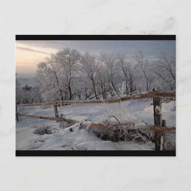 Nordfrost Postkarte (Vorderseite)