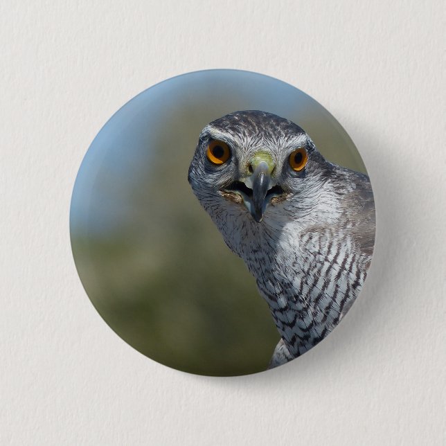 Nordgohawk Nah Button (Vorderseite)