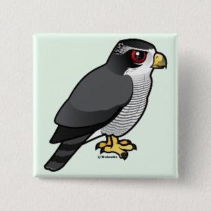 Nordhühnerhabicht Button