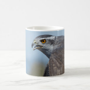 Nordhühnerhabicht-Schreien Kaffeetasse
