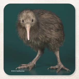 Nordinsel-Brown-Kiwi Rechteckiger Pappuntersetzer