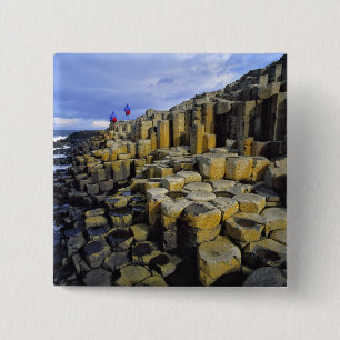 Nordirland, County Antrim, Giant's Button