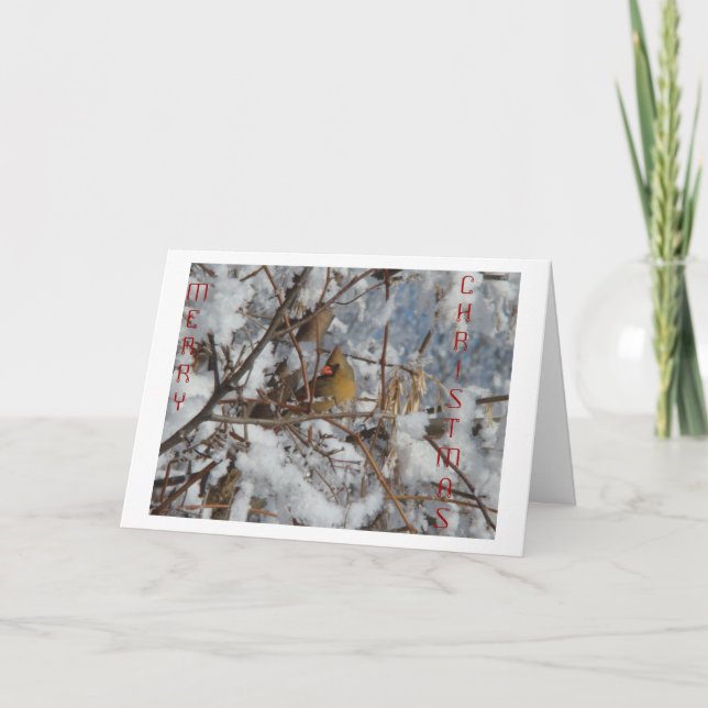 Nordische Kardinal und Schneebaum Feiertagskarte (Vorderseite)