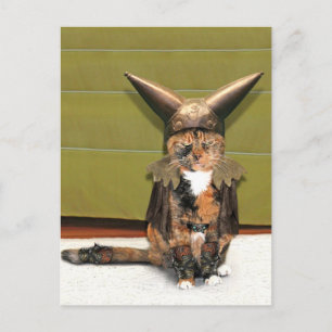 Nordische Katze ist nicht verwirrt Postkarte
