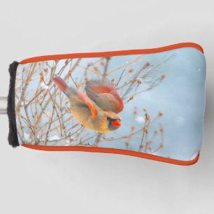 Nordkardinal im Flug - Originalfotografie Golf Headcover