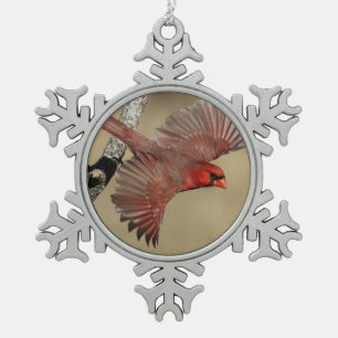 NordKardinal im Flug Schneeflocken Zinn-Ornament