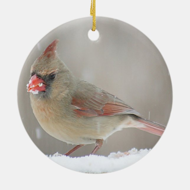 NordKardinal Keramikornament (Hinten)