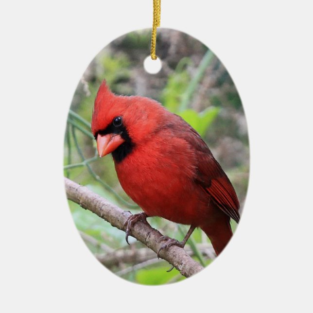 NordKardinal -- Traditioneller Weihnachtsvogel Keramik Ornament (Vorne)