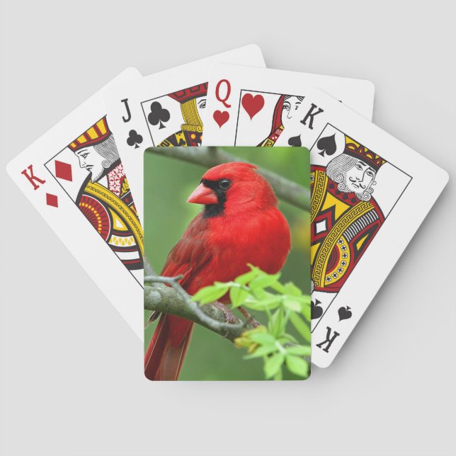 NordKardinäle Spielkarten (Rückseite)