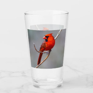 NordKardinals-Glas-Trommel Glas