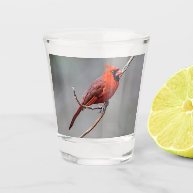 NordKardinals-Schuss-Glas Schnapsglas (Vorderseite)