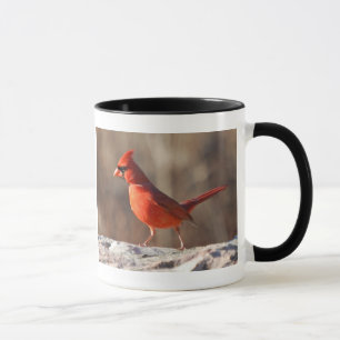 NordKardinalsbild und Informationen - Tasse