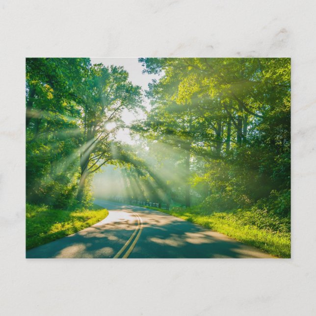 Nordkarolina - Gebirge Postkarte (Vorderseite)