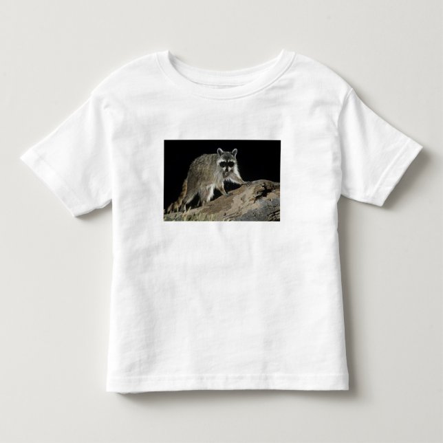 Nordkorea, Procyon-Lotor Kleinkind T-shirt (Vorderseite)