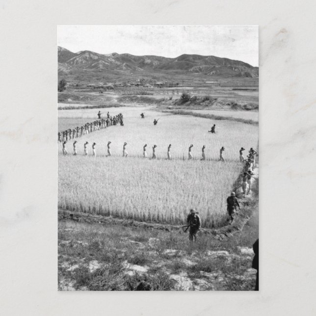 Nordkoreanische Gefangene - Bild des Krieges Postkarte (Vorderseite)