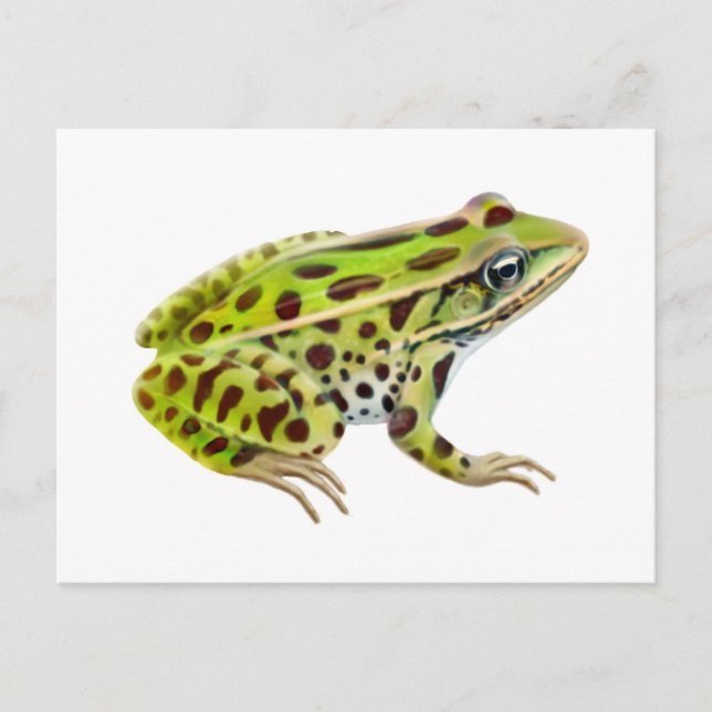 Nordleopard-Frosch-Postkarte Postkarte (Vorderseite)