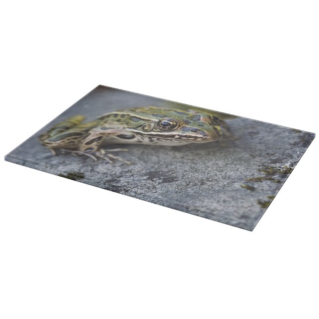 Nordleopardfrosch, See-through Island, Schneidebrett (Ecke)