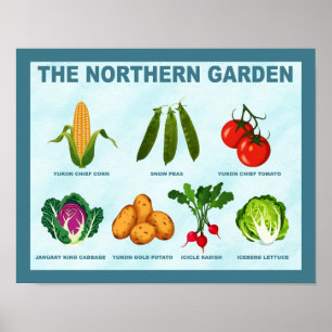 Nördlicher Gemüsegarten Poster