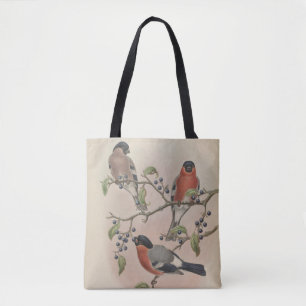 Nördlicher Gimpel von John Gould Tasche