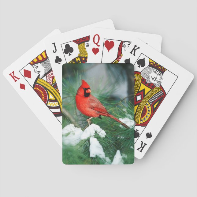 Nördlicher Kardinal auf Baum, IL Spielkarten (Rückseite)