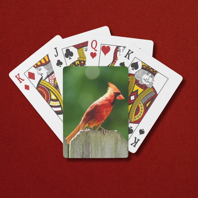 Nördlicher Kardinal auf Zaun im Sommer Spielkarten (A bright red male northern cardinal makes these playing cards perfect for summer!)