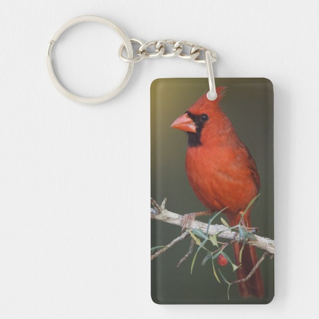 Nördlicher Kardinal, Cardinalis cardinalis, männli Schlüsselanhänger (Vorderseite)