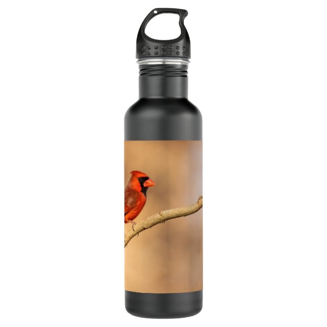 Nördlicher Kardinal Edelstahlflasche (Vorderseite)