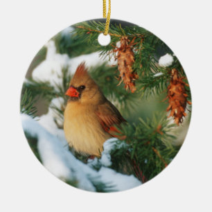 Nördlicher Kardinal im Baum, Illinois Keramikornament