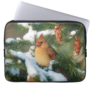 Nördlicher Kardinal im Baum, Illinois Laptopschutzhülle