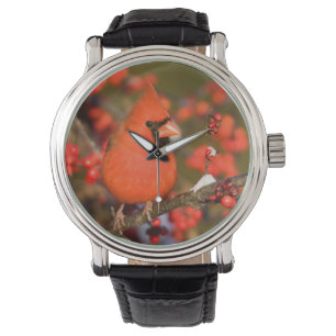 Nördlicher Kardinal in Gewöhnlicher Winterbeere Armbanduhr