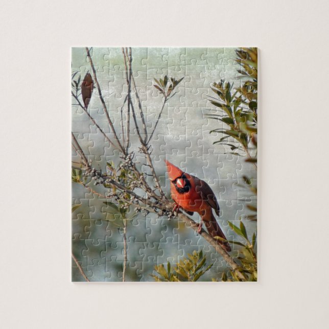 Nördlicher Kardinal in Wax Myrtle (Vertikal)