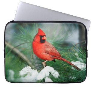 Nördlicher Kardinal Männchen auf Baum, IL Laptopschutzhülle