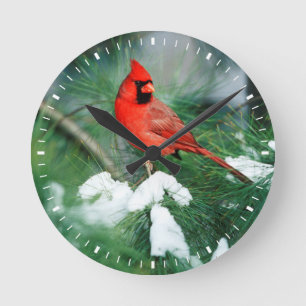 Nördlicher Kardinal Männchen auf Baum, IL Runde Wanduhr